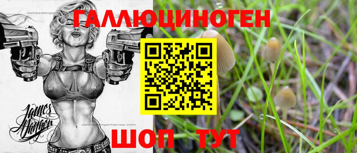 Энгельс  Галлюциногенные грибы Magic Shrooms  Вход с VPN 