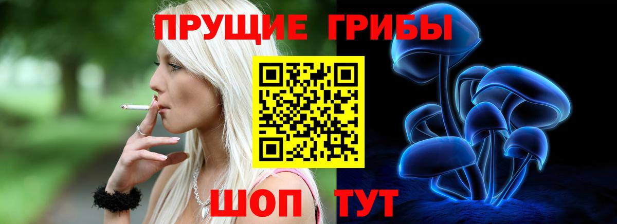 Галлюциногенные грибы Psilocybine cubensis Энгельс