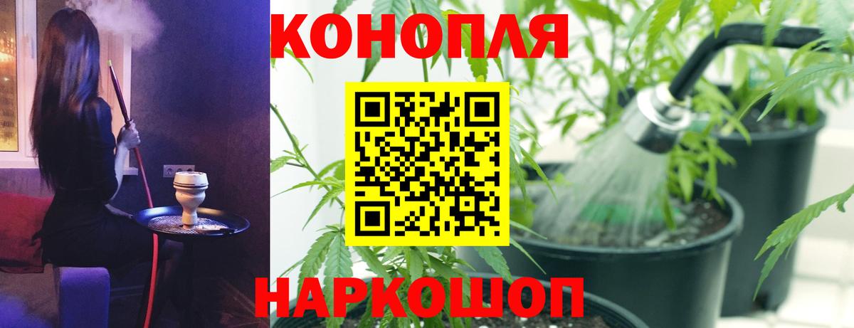 МАРИХУАНА Энгельс